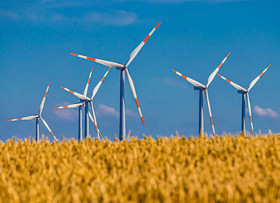 德州电力选择提供可再生能源计划和电价。万博官网亚洲